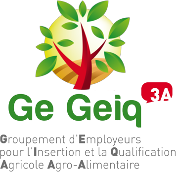 GE-GEIQ-PNG